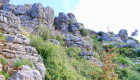 Formazioni rocciose nel Bosco di Rebuttone 