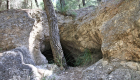 Sepoltura tra gli alberi