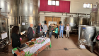 La cantina dell'Antico Frantoio
