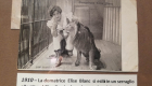 Cartolina con domatrice e leone al Giardino inglese 1910