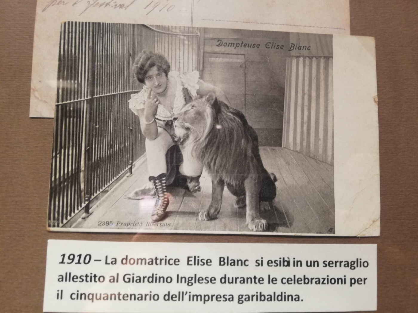 Cartolina con domatrice e leone al Giardino inglese 1910